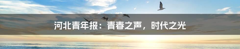 河北青年报：青春之声，时代之光