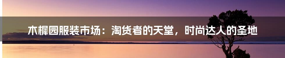 木樨园服装市场:淘货者的天堂,时尚达人的圣地