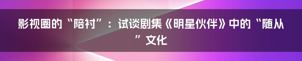 影视圈的“陪衬”:试谈剧集《明星伙伴》中的“随从”文化