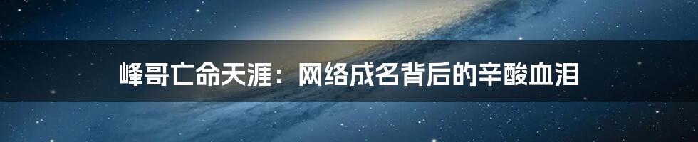 峰哥亡命天涯：网络成名背后的辛酸血泪