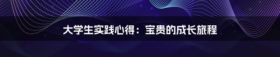 大学生实践心得:宝贵的成长旅程