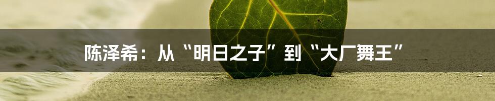 陈泽希:从“明日之子”到“大厂舞王”