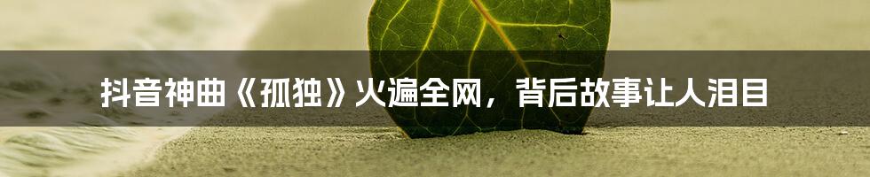 抖音神曲《孤独》火遍全网,背后故事让人泪目