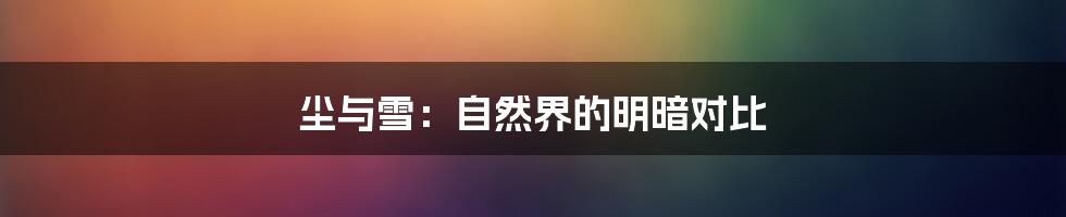 尘与雪:自然界的明暗对比