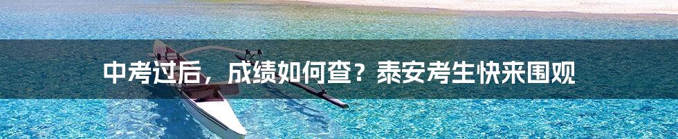 中考过后,成绩如何查?泰安考生快来围观