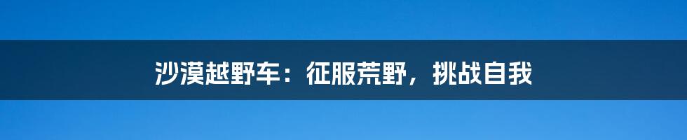 沙漠越野车:征服荒野,挑战自我