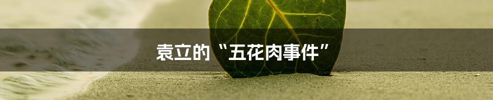 袁立的“五花肉事件”