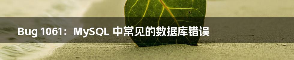 Bug 1061:MySQL 中常见的数据库错误