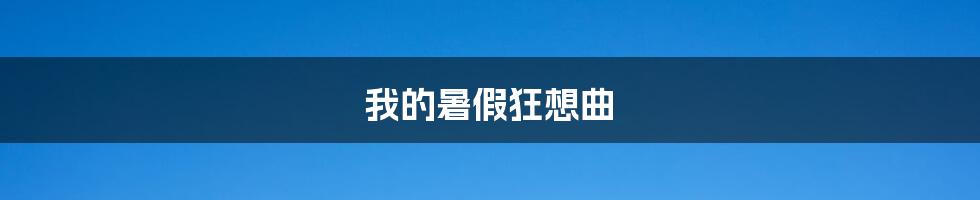 我的暑假狂想曲