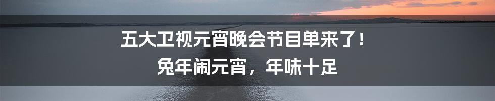 五大卫视元宵晚会节目单来了！ 兔年闹元宵，年味十足