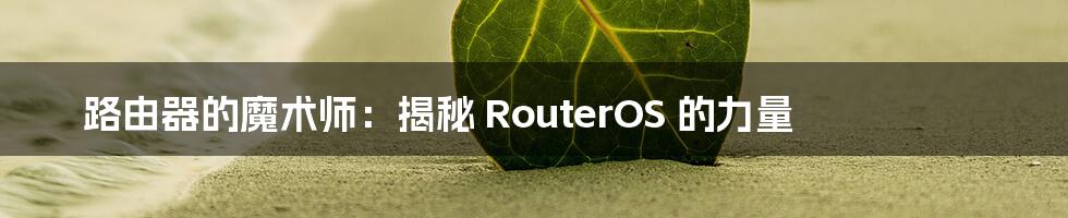 路由器的魔术师：揭秘 RouterOS 的力量