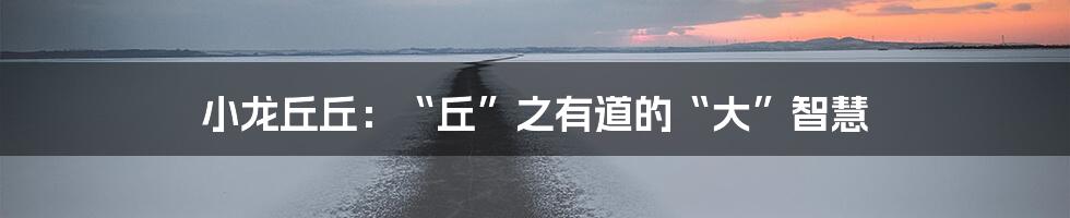 小龙丘丘:“丘”之有道的“大”智慧