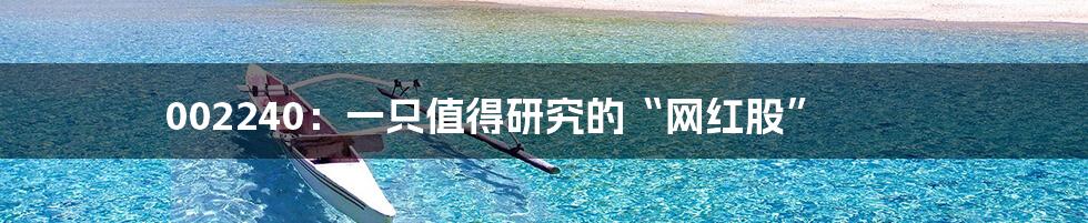 002240:一只值得研究的“网红股”