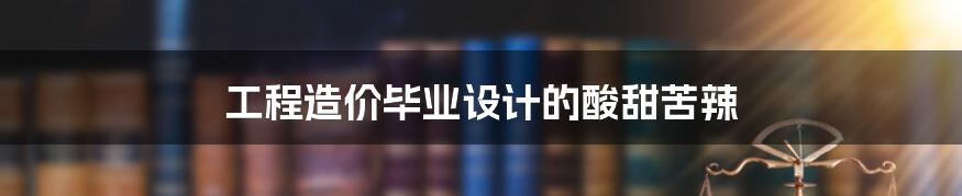 工程造价毕业设计的酸甜苦辣