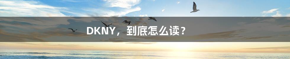 DKNY,到底怎么读?