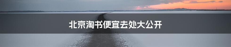 北京淘书便宜去处大公开