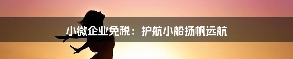 小微企业免税:护航小船扬帆远航