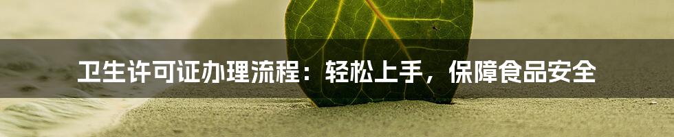 卫生许可证办理流程:轻松上手,保障食品安全