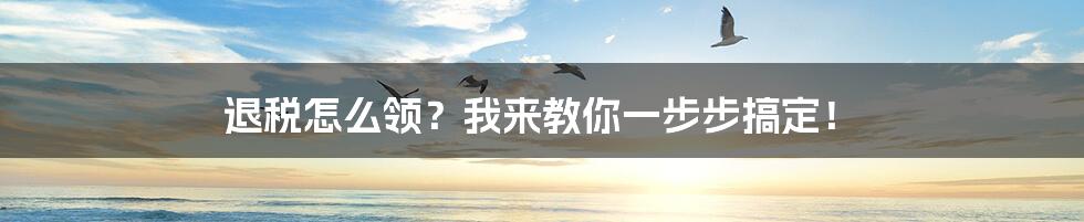 退税怎么领？我来教你一步步搞定！