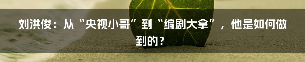刘洪俊:从“央视小哥”到“编剧大拿”,他是如何做到的?