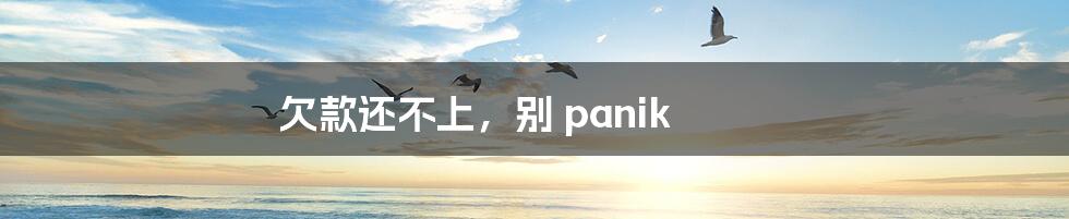 欠款还不上，别 panik