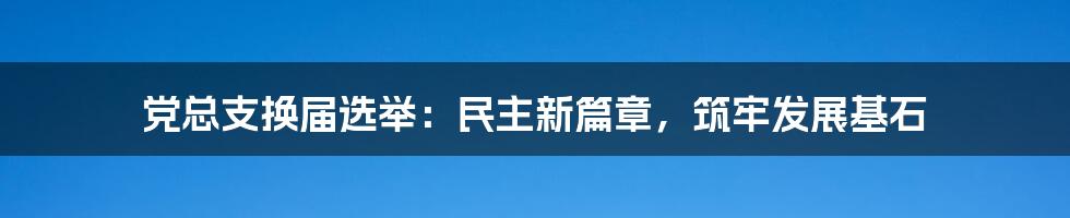 党总支换届选举：民主新篇章，筑牢发展基石