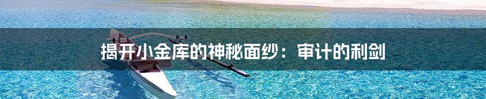揭开小金库的神秘面纱:审计的利剑
