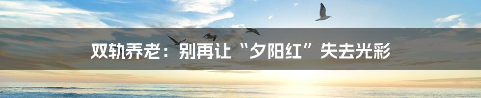 双轨养老:别再让“夕阳红”失去光彩