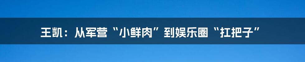 王凯：从军营“小鲜肉”到娱乐圈“扛把子”