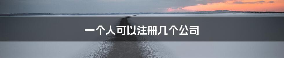 一个人可以注册几个公司