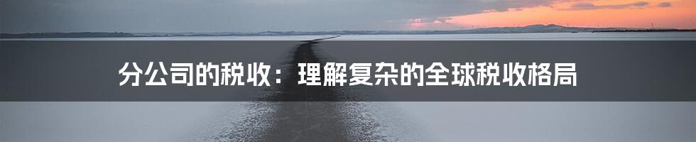 分公司的税收：理解复杂的全球税收格局