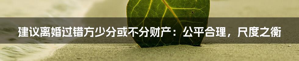 建议离婚过错方少分或不分财产:公平合理,尺度之衡
