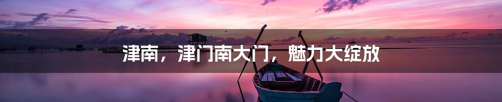 津南,津门南大门,魅力大绽放