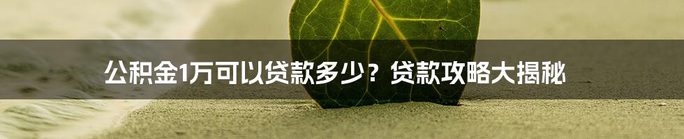 公积金1万可以贷款多少？贷款攻略大揭秘
