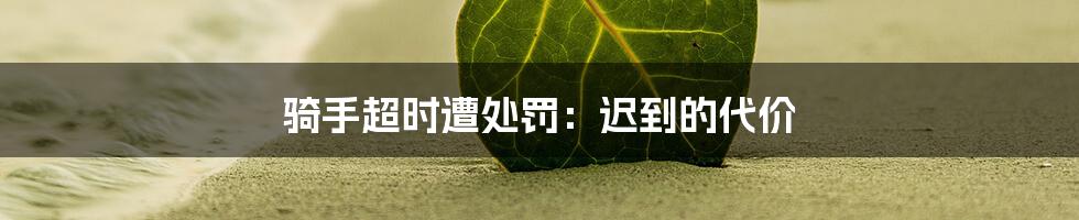 骑手超时遭处罚:迟到的代价