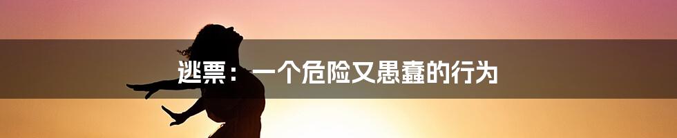 逃票:一个危险又愚蠢的行为