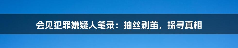 会见犯罪嫌疑人笔录：抽丝剥茧，探寻真相