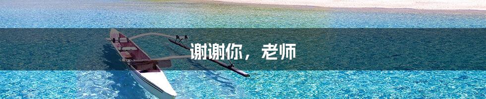 谢谢你,老师
