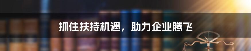 抓住扶持机遇，助力企业腾飞