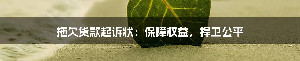 拖欠货款起诉状：保障权益，捍卫公平