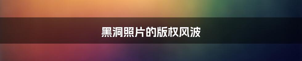 黑洞照片的版权风波