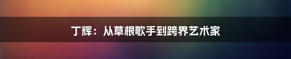 丁辉:从草根歌手到跨界艺术家