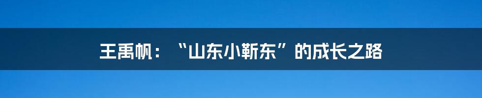 王禹帆:“山东小靳东”的成长之路