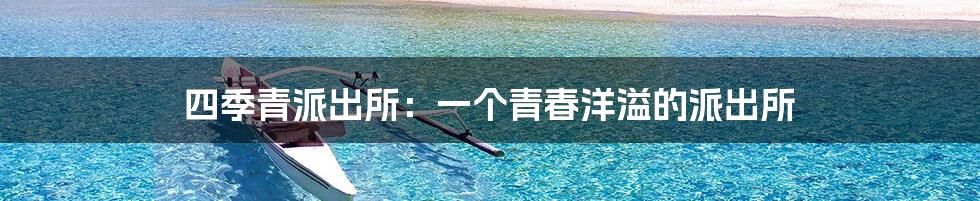 四季青派出所:一个青春洋溢的派出所