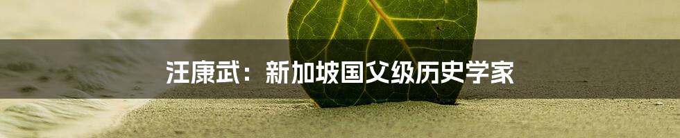 汪康武:新加坡国父级历史学家