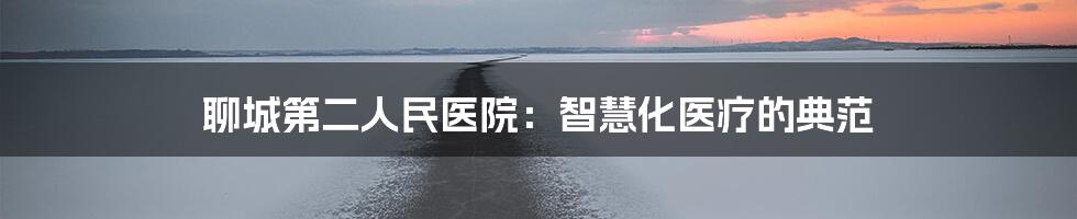 聊城第二人民医院：智慧化医疗的典范
