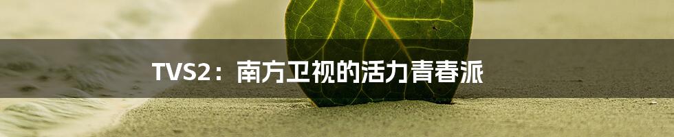 TVS2：南方卫视的活力青春派