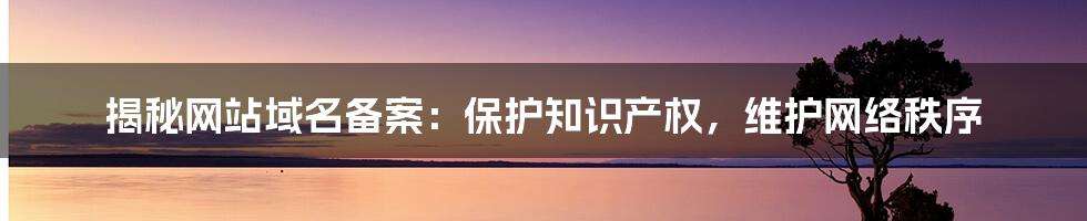 揭秘网站域名备案:保护知识产权,维护网络秩序