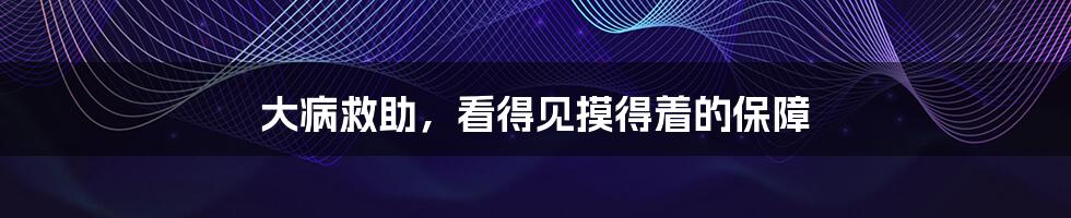 大病救助，看得见摸得着的保障