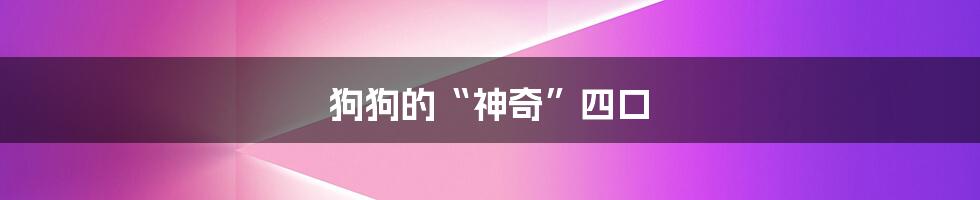 狗狗的“神奇”四口